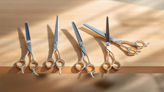 5 Essential Shears Every Professional Stylist Needs