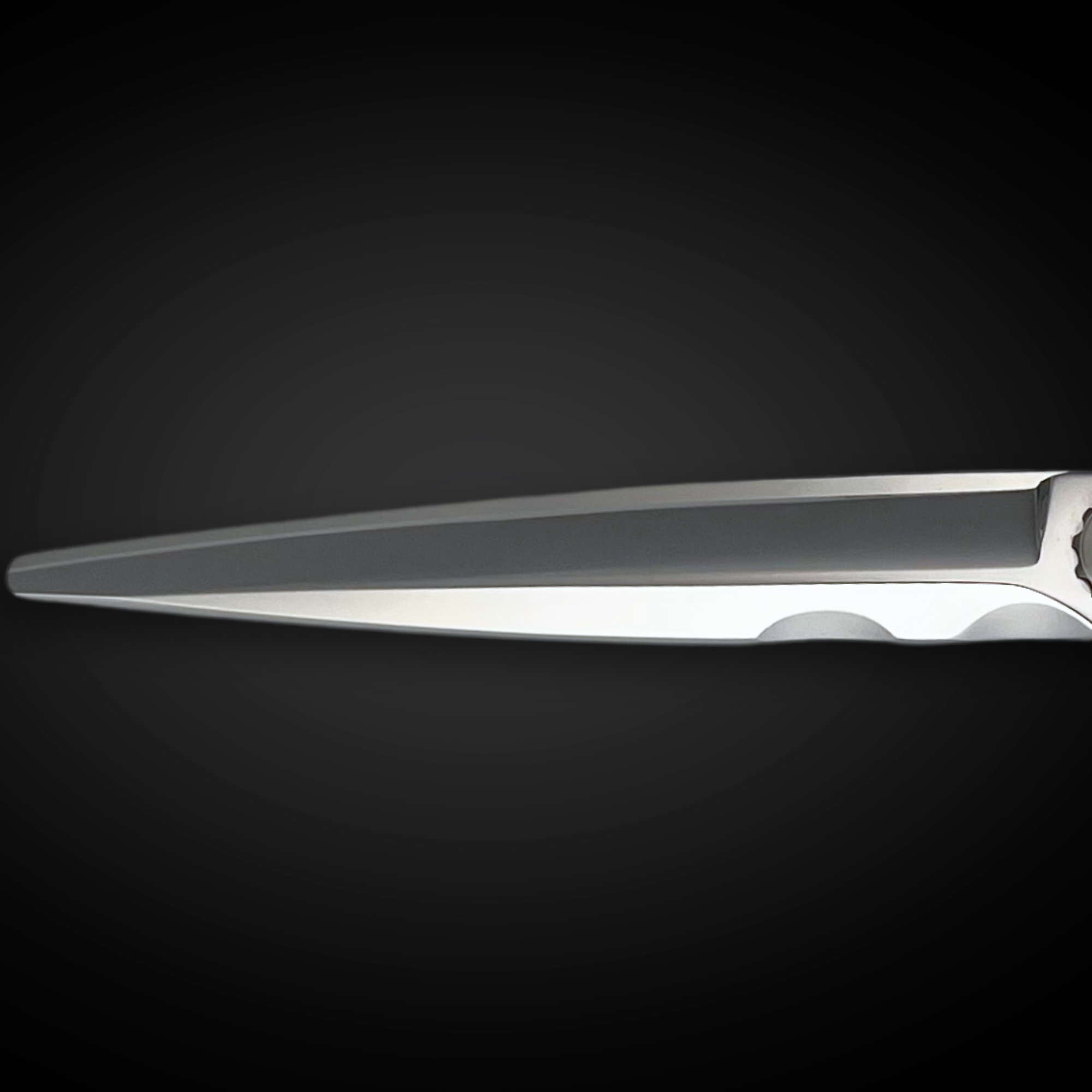 sarihei Kenchii Shinobi™ | 7.0