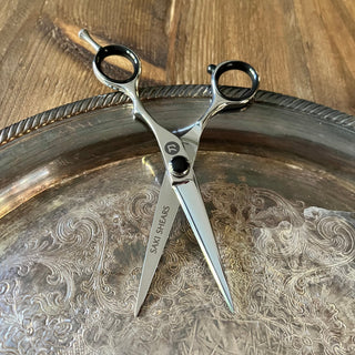 Makoto Student Hairdressing Shears Set (Hair Cutting and Thinning Shears)