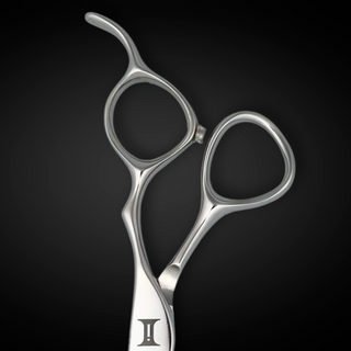 6" Hair Cutting Shears - Ascent